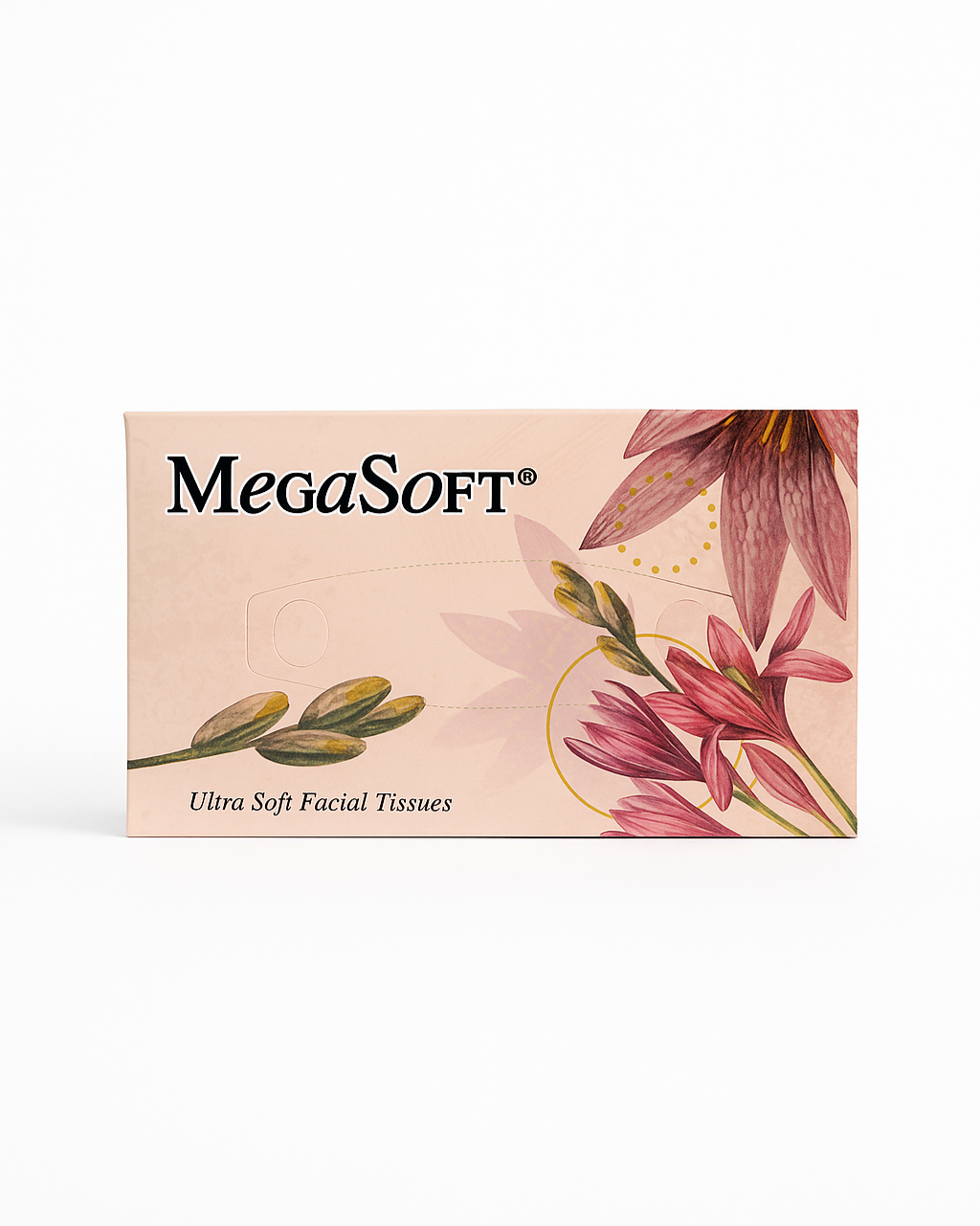Facial Tissues (Pull out tissues)